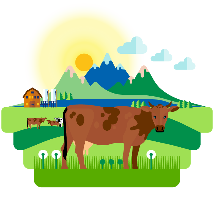 Farm Cow